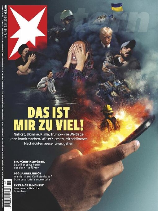 Cover image for stern